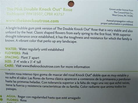 tko dual knockout instructions